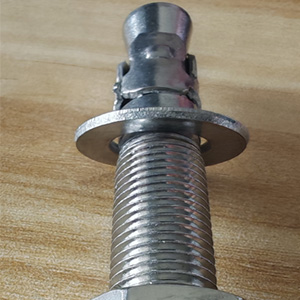 Stainless steel Bolt